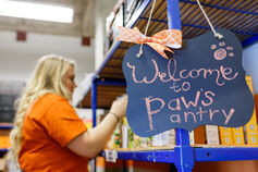 An IUPUI student stocks food shelves near a sign that reads "Welcome to Paw's Pantry".